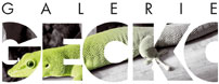 Logo GECKO